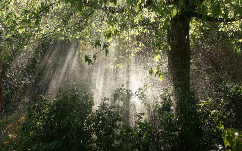 И дождь, и солнце - такая погода сегодня ждет владимирцев