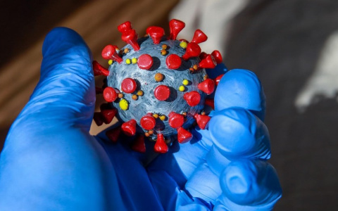 Оперштаб опубликовал новые данные по коронавирусной обстановке в 33 регионе