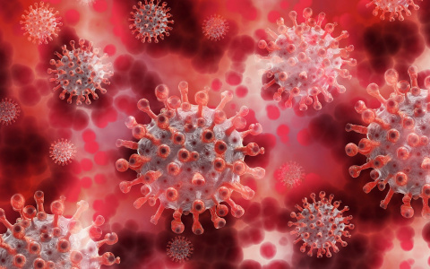 Ученые назвали способ уничтожения коронавируса за 25 секунд