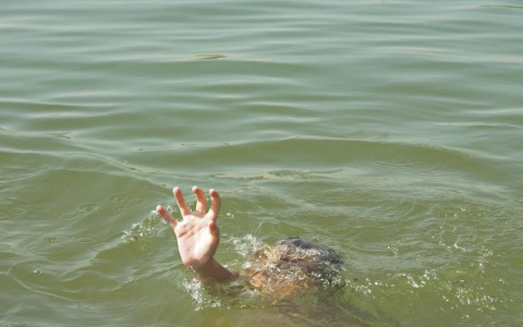 Под Суздалем обнаружили тело 8-летнего мальчика