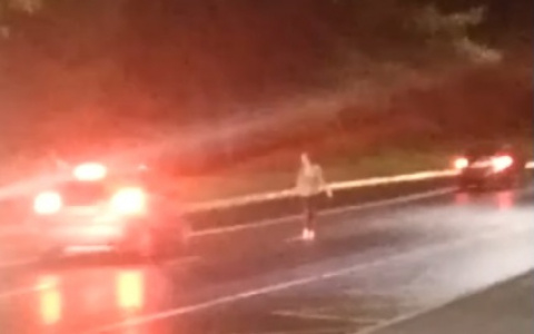 Во Владимире нетрезвая девушка выбежала на оживлённую дорогу