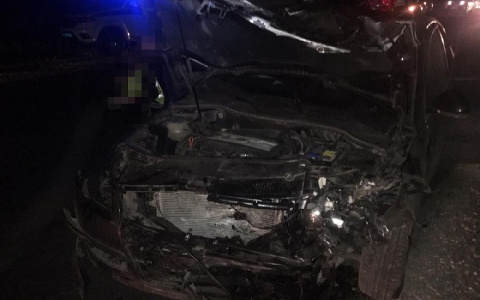 В массовом ДТП под Владимиром погибли два человека