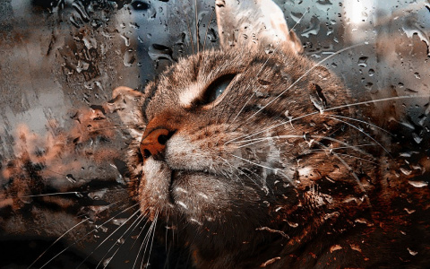 Синоптики вновь удивили прогнозом погоды