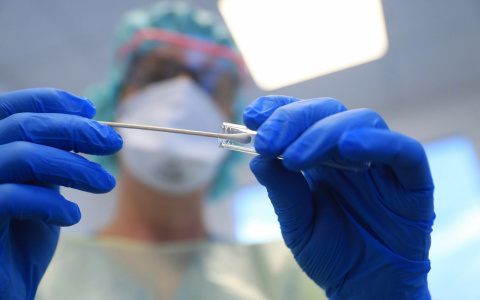 Во Владимирской области выявили еще 24 случая коронавируса