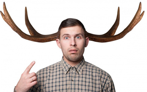 Гороскоп на 17 августа: кого-то завтра ждет приятный сюрприз, а кому-то стоит отложить дела