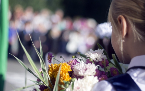 Стало известно, как будут работать владимирские школы