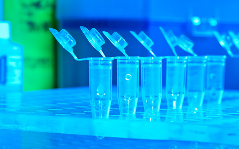 Владимирцам доступна комплексная диагностика COVID-19