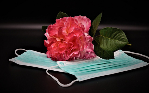 Еще четыре человека стали жертвами коронавируса во Владимирской области