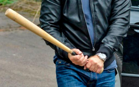 Во Владимире риэлтор битой отомстил за своего пса