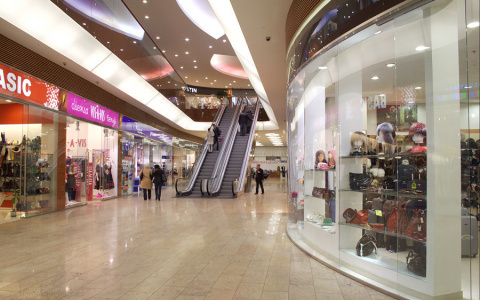 Все умрут, а я заработаю: как владимирские бизнесмены поднимали прибыль на самоизоляции