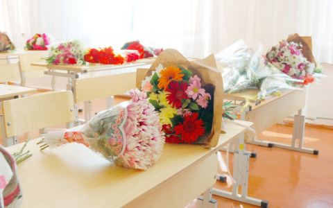 Во Владимире эвакуировали школы и детсады из-за угроз интернет-террористов