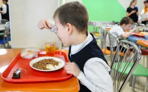 Во Владимире школьников начальных классов накормят бесплатно