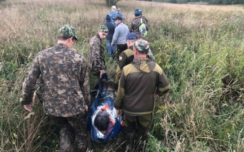 Во Владимирской области спасли пожилую женщину, потерявшуюся в лесу