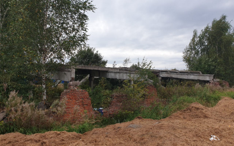 Во Владимирской области требуют огородить конюшню, где погибла девочка