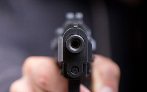 В Энергетике неизвестный стреляет по домашним животным из пистолета