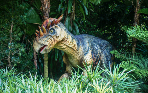 Мы запускаем новый фотоконкурс для всех, кто обожает динозавров