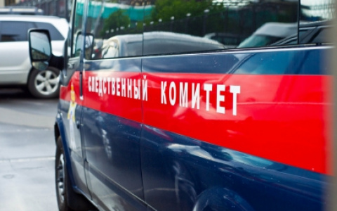 Во Владимирской области в мусорном контейнере нашли мертвого младенца