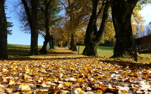 Погода во Владимире: сегодня осадков не ожидается
