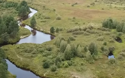 Построивших ФАП в национальном парке "Мещера" ждет уголовное преследование