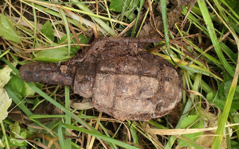 Во Владимирской области деревенский житель нашел гранату времен ВОВ