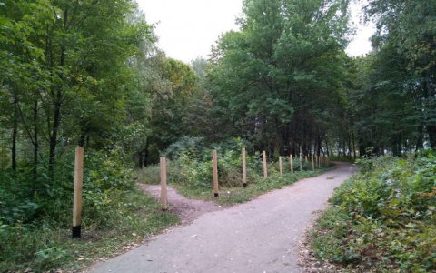 Зачем на территории Козьего парка во Владимире поставили забор?