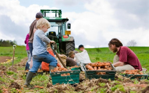 Семейный подход к фермерству: «Мы одна команда и просто делаем одно дело»