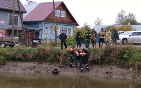 Во Владимирской области к поискам пропавшего мальчика подключились водолазы