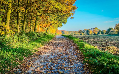 Синоптики обещают владимирцам теплый и ясный четверг