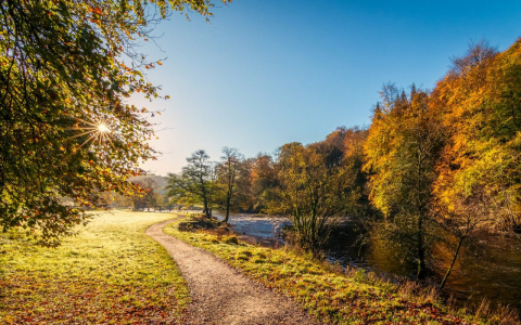 Синоптики предупредили об аномально теплой погоде во Владимире