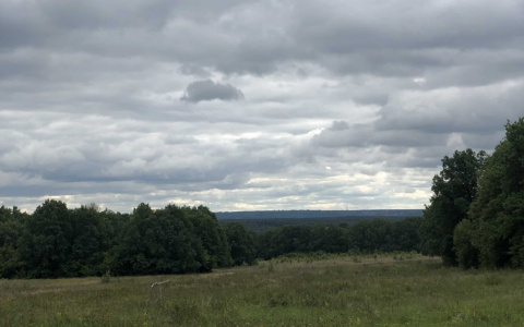 Владимирский водоканал вел работы в парке "Дружба" с нарушениями