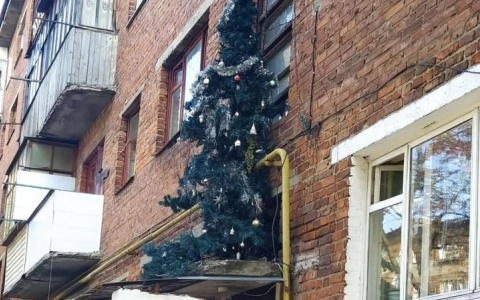 Во Владимире на улице Горького обнаружили новогоднюю елку