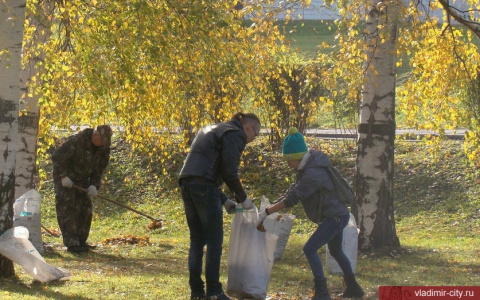 10 октября во Владимире пройдет общегородской субботник