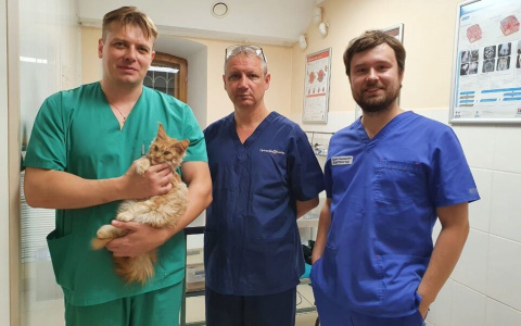 Владимирский челюстно-лицевой хирург прооперировал котенка с волчьей пастью