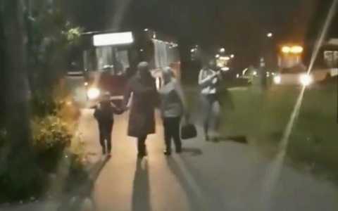 Во Владимире автобусы стали ездить по тротуарам