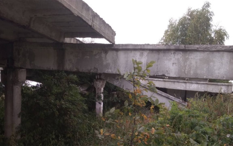 Во Владимирской области суд постановил оградить свинарник, где погиб ребенок