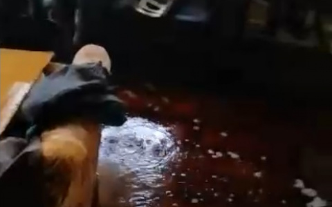 Во Владимире 16 квартир пострадали от потопа