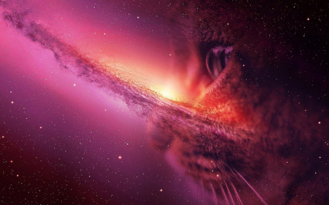 Гороскоп на 6 октября: Львы рискуют впасть в уныние, а Близнецам стоит "7 раз отмерить..."