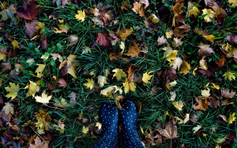 Синоптики предупредили владимирцев о возможных осадках