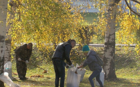 Во Владимире из-за коронавируса отменили общегородской субботник