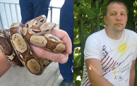 Владимирец в подробностях рассказал об обнаружении удава в своей квартире