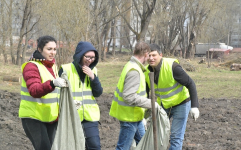 Владимирцы: "Учителей привлекают к субботнику, игнорируя решение властей!"
