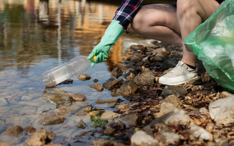 Во Владимирской области субботники отменили до конца года