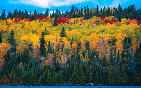 Владимирцы могут сегодня понять, какой будет зима