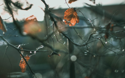 Погода во Владимире: синоптики предупредили о новых климатических сюрпризах