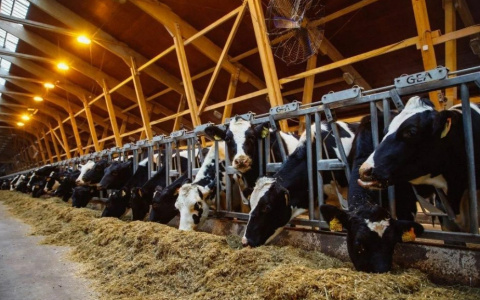 Российский АПК стал эффективной и рентабельной отраслью экономики – Борис Листов