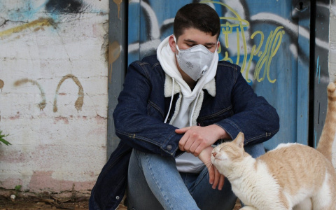 Во Владимирской области еще у 87 человек подтвердился коронавирус