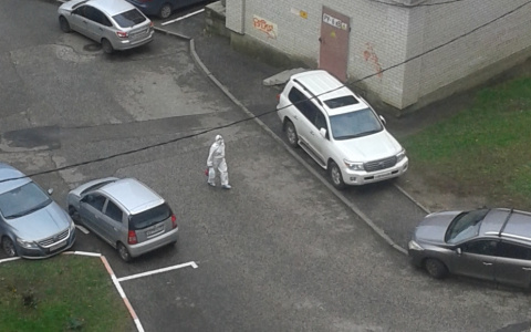 Снова антирекорд по коронавирусу во Владимирской области: 88 новых случаев