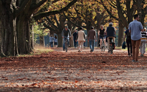 Владимирцев ожидает не по сезону теплая погода