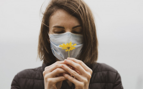 Назван неожиданный положительный эффект от пандемии COVID-19