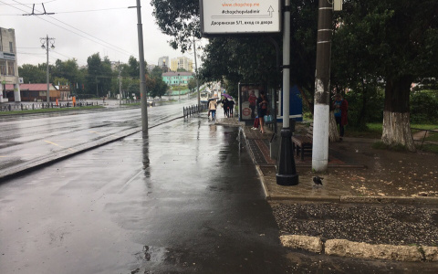 Погода во Владимире: что ожидает горожан в День народного единства?